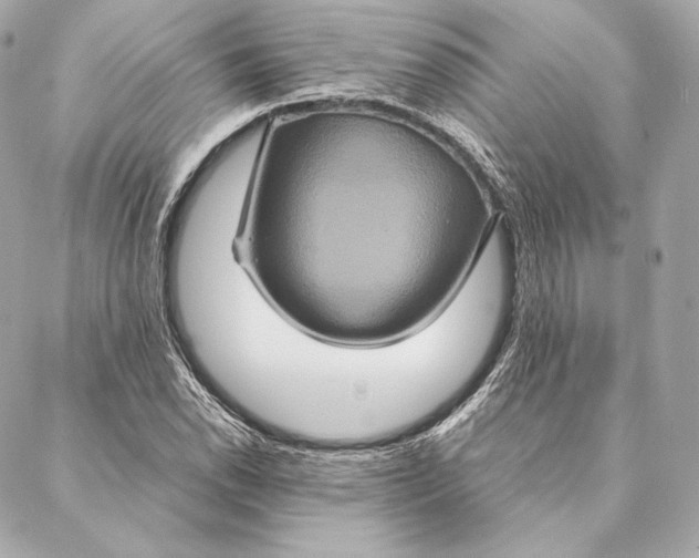 X0000087371118200705111703