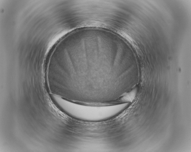 X0000087371120200705111703