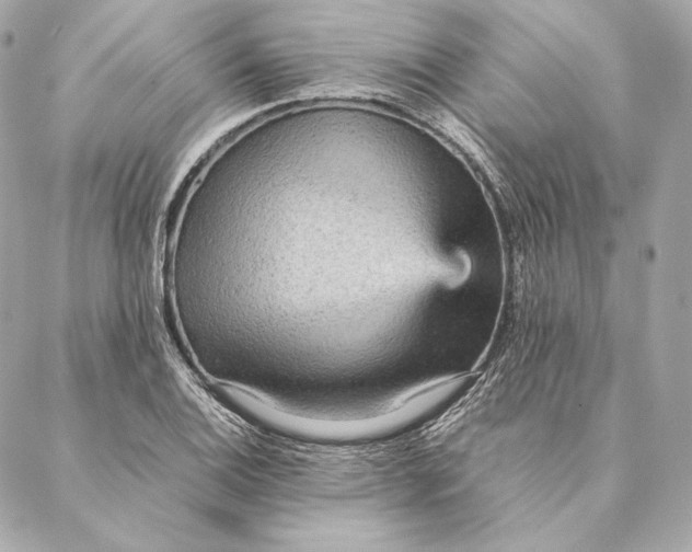 X0000087371124200705111703