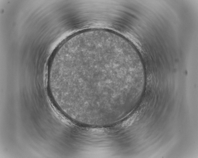 X0000087371126200705111703