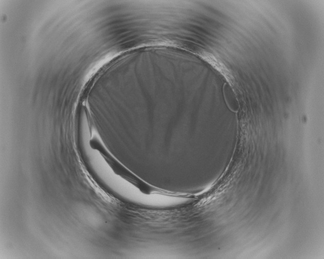 X0000087371127200705111703