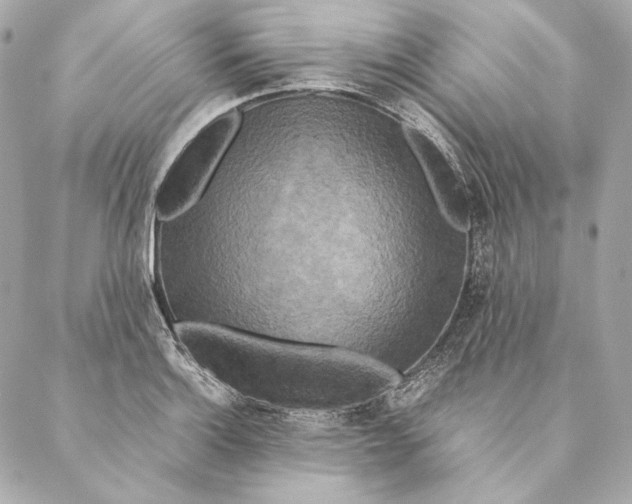X0000087371132200705111703