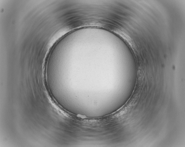 X0000087371135200705111703