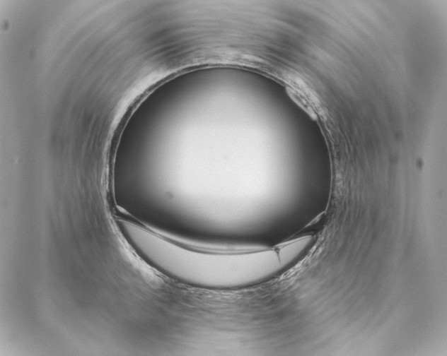 X0000087371136200705111703