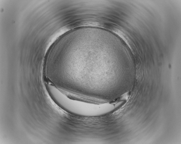 X0000087371139200705111703
