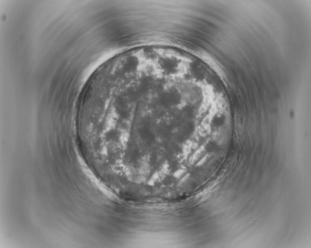 X0000087371142200705111703