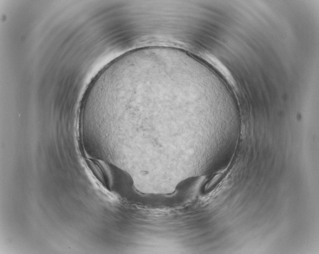 X0000087371144200705111703