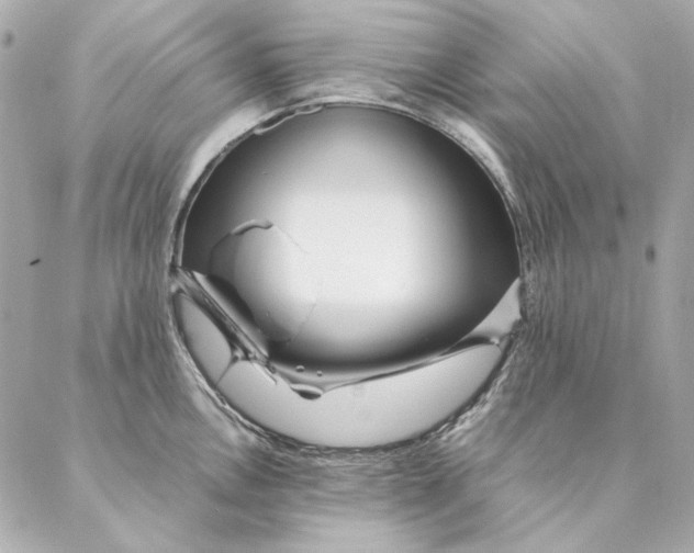 X0000087371146200705111703