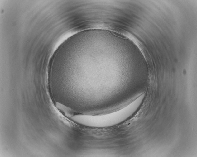 X0000087371147200705111703