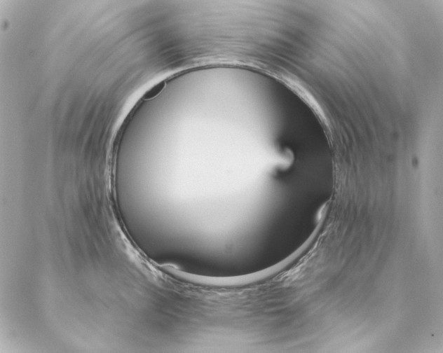 X0000087371148200705111703