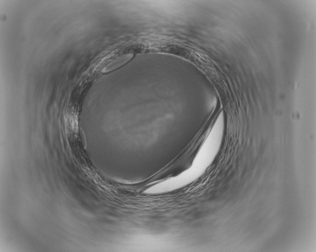 X0000087371155200705111703