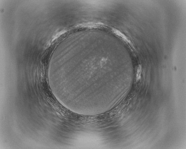 X0000087371158200705111703