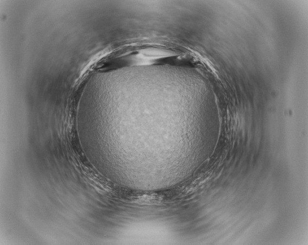 X0000087371160200705111703