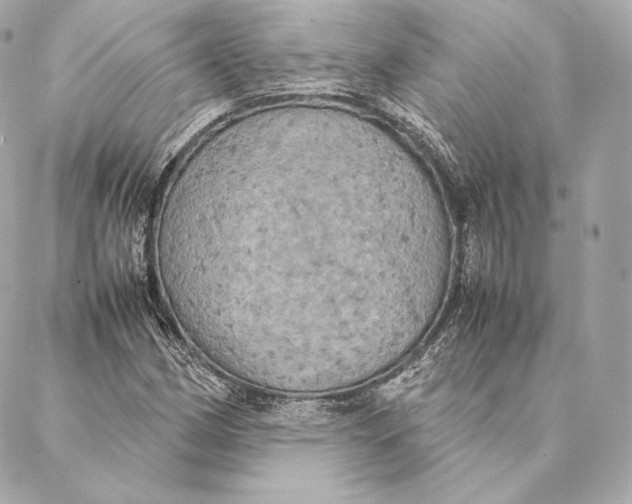 X0000087371162200705111703