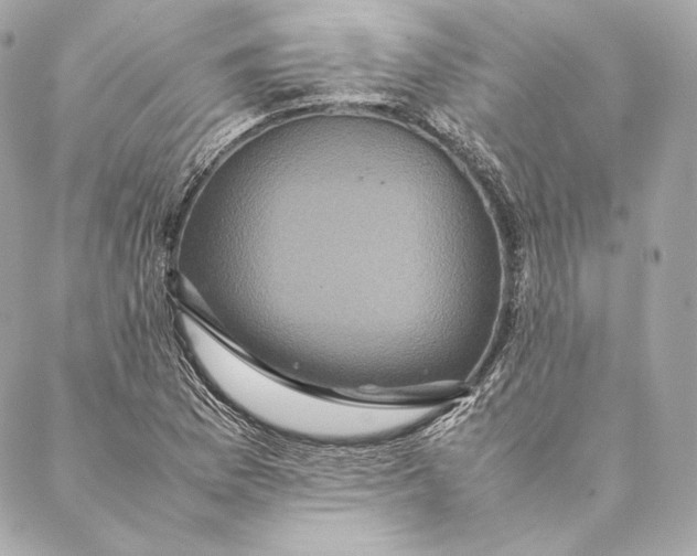 X0000087371169200705111702