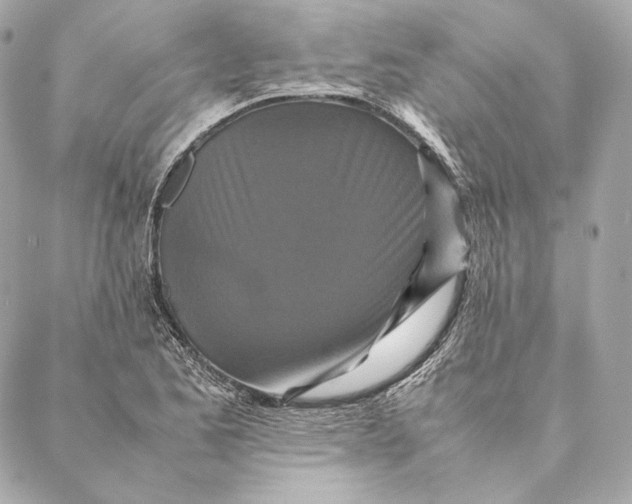 X0000087371173200705111702