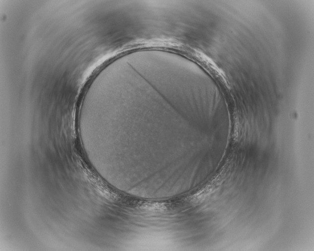 X0000087371174200705111702