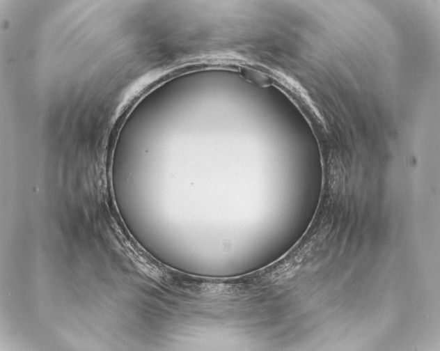 X0000087371176200705111702