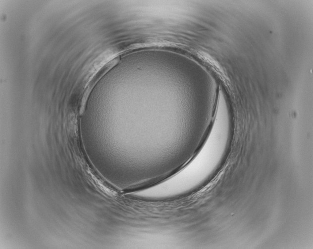 X0000087371177200705111702