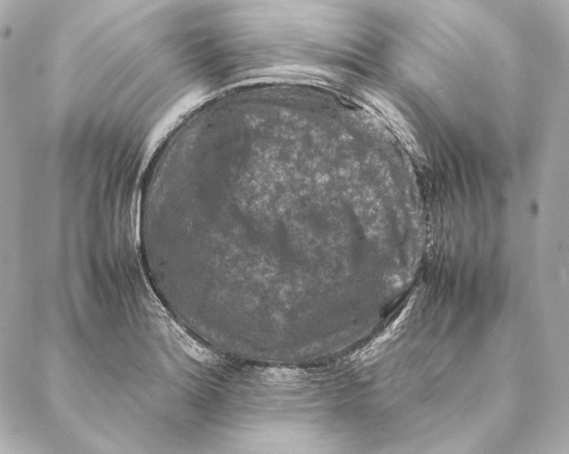 X0000087371180200705111702