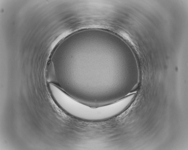 X0000087371181200705111702