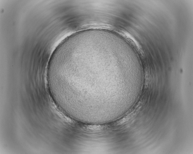 X0000087371182200705111702