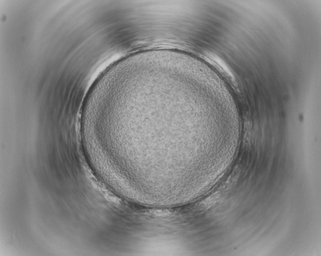 X0000087371190200705111702
