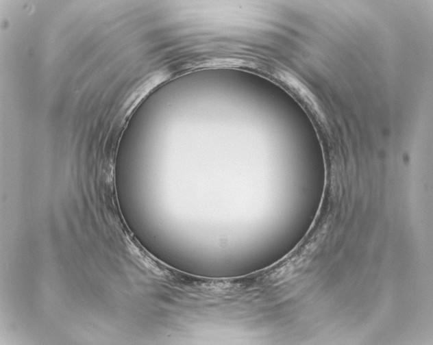 X0000087371193200705111702
