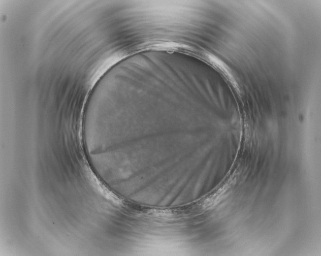 X0000087371194200705111702
