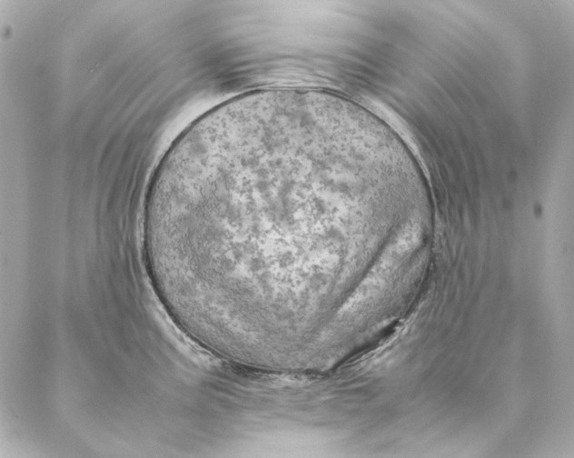 X0000087371195200705111702