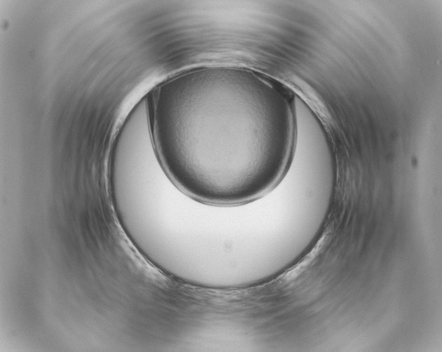 X0000087371196200705111702