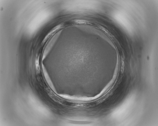 X0000087371198200705111702