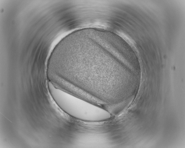X0000087371200200705111702