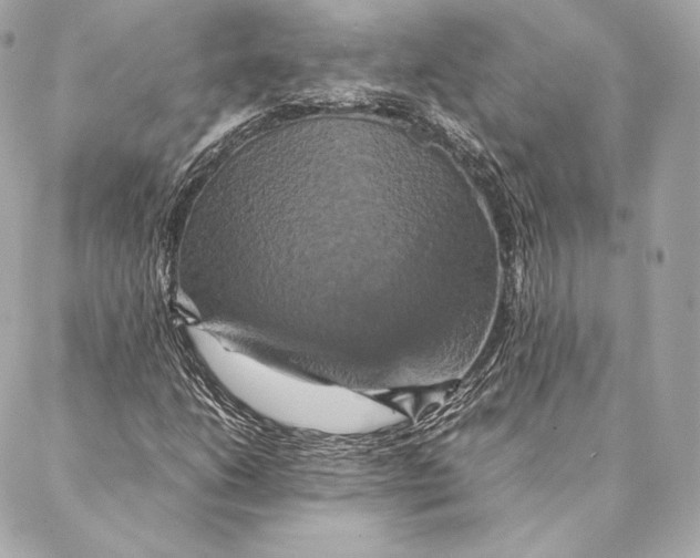 X0000087371206200705111701