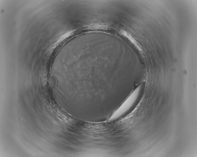 X0000087371213200705111701