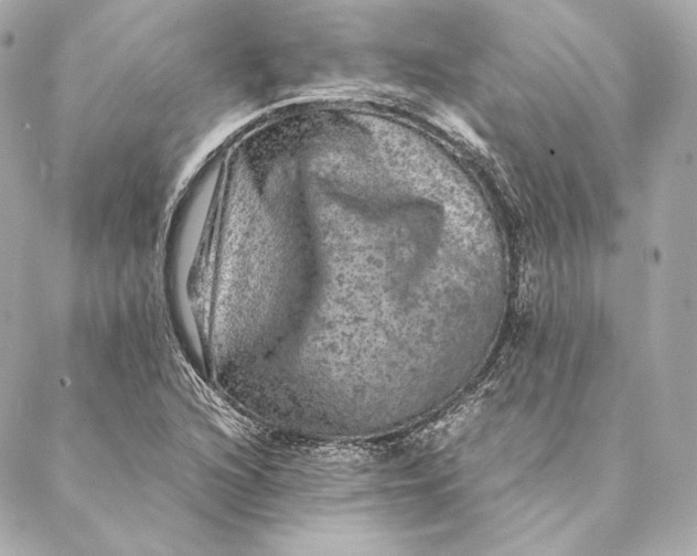 X0000087371216200705111701