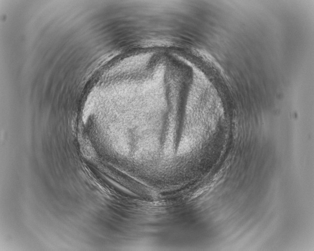 X0000087371217200705111701