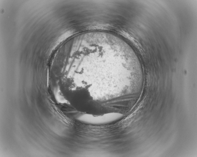 X0000087371219200705111701