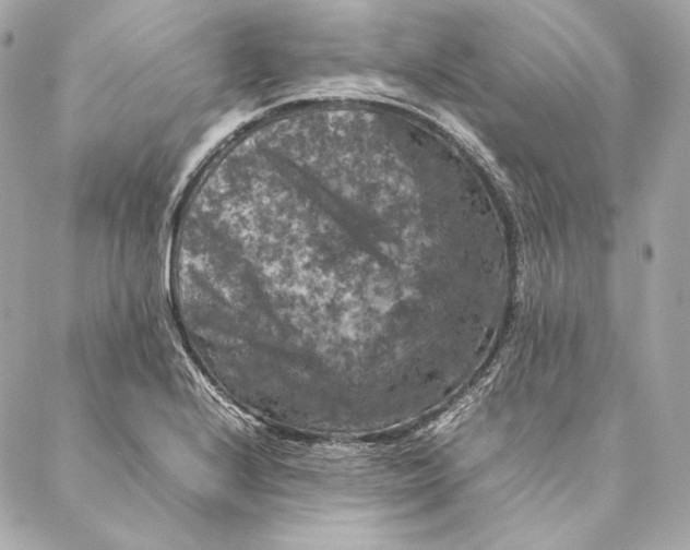 X0000087371224200705111702