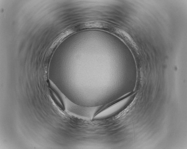 X0000087371225200705111702