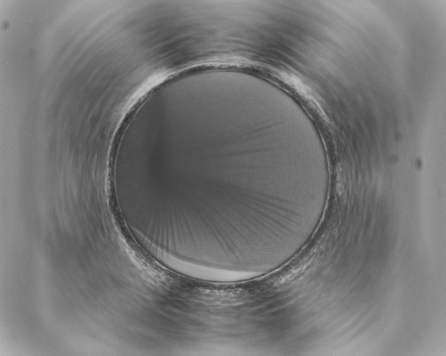 X0000087371229200705111702