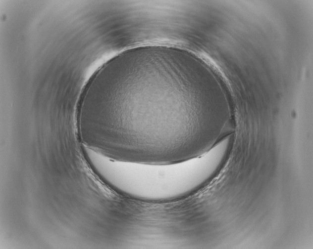 X0000087371230200705111702