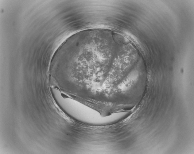 X0000087371236200705111702