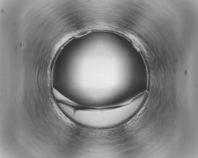 X0000087371238200705111702