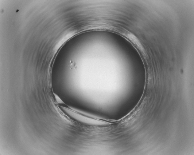 X0000087371242200705111702