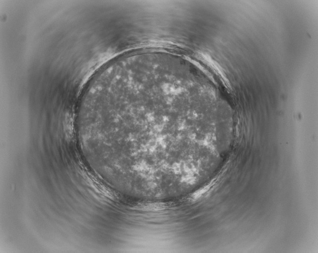 X0000087371260200705111701