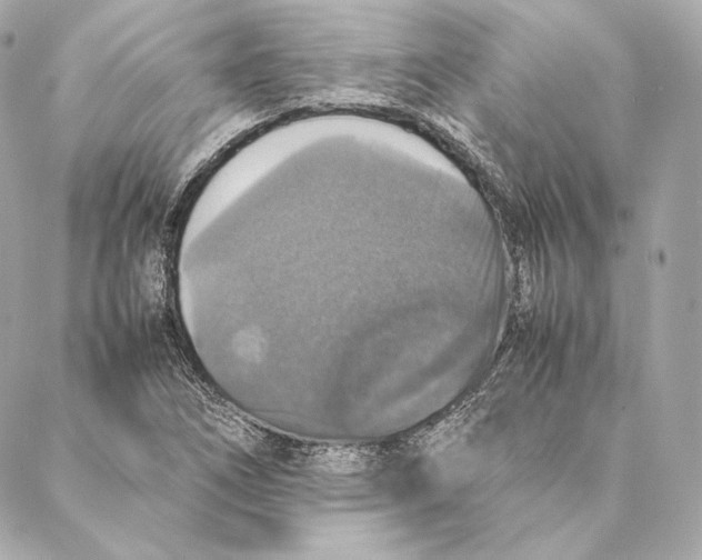 X0000087371266200705111701