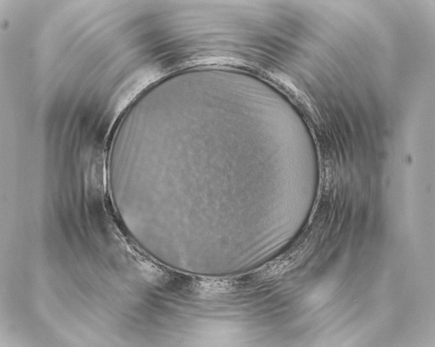X0000087371274200705111701