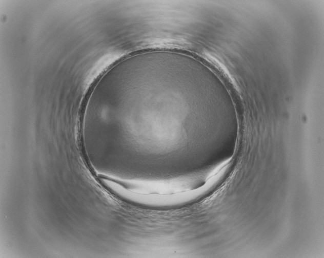 X0000087371277200705111701