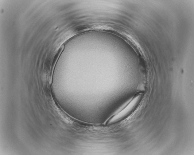 X0000087371281200705111701